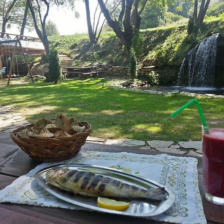 Gradacka Banja Brvnare Διαμέρισμα Εξωτερικό φωτογραφία